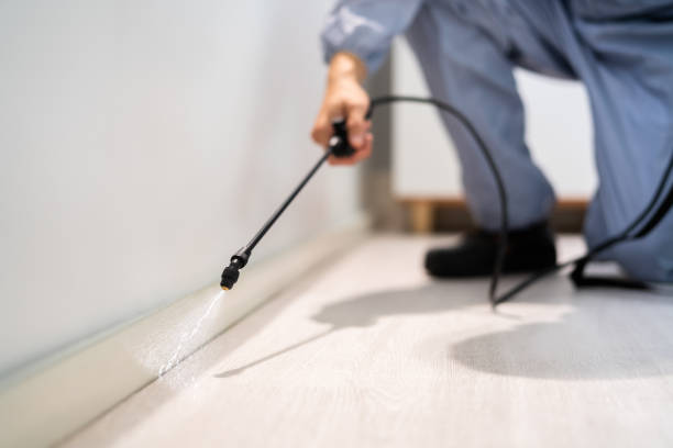 Licensed Exterminator service in Verona, VA - Show Me Pest Control